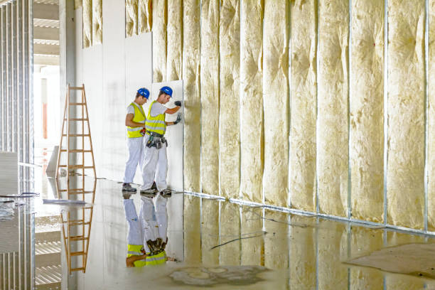 Best Insulation Replacement  in Southport, IN